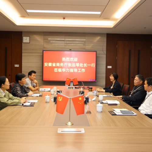 安徽省商务厅张远琴处长一行来华力调研指导工作