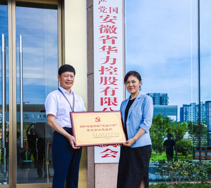 集团党委荣获合肥市“双强六好”非公企业党组织称号