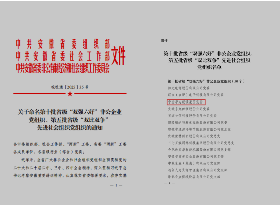 党建引领强根基，“双强六好”树标杆 