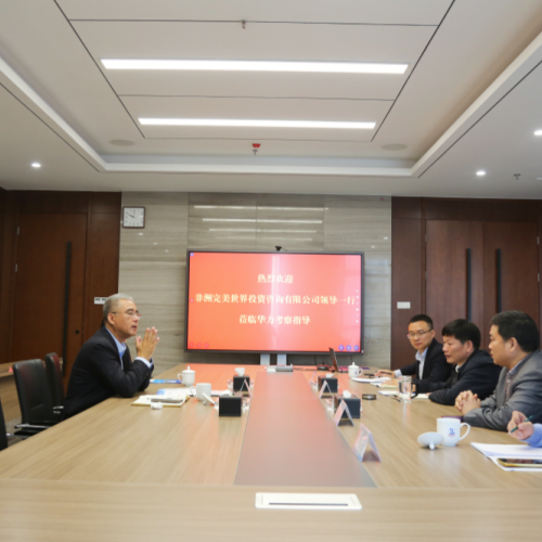 非洲完美世界投资咨询有限公司一行赴集团考察交流