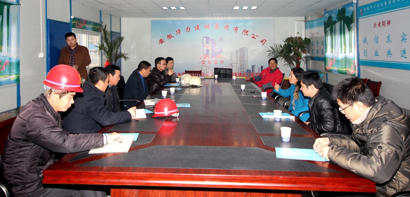 桑丽萍副局长到三十岗项目指导“百日整治行动”